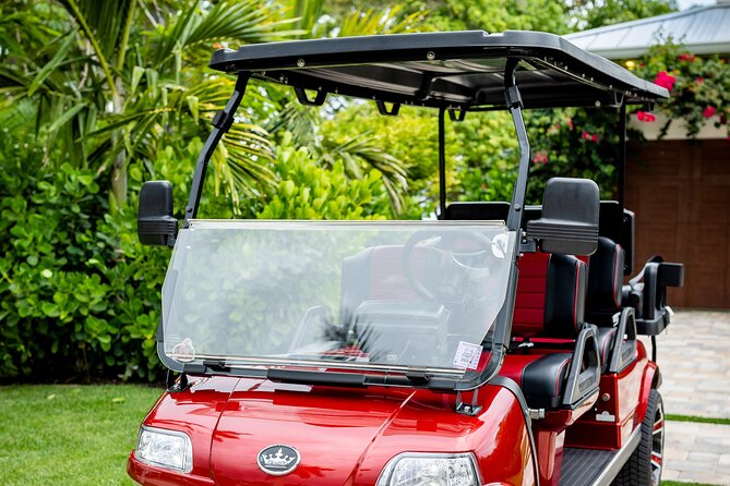 1 Week Golf Cart Rental