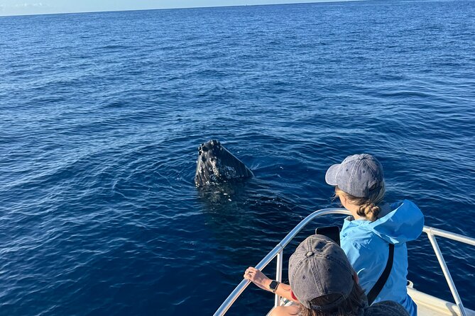 12 Passenger Kaanapali Beach Whale Watch Tour. Onboard Whale Mic