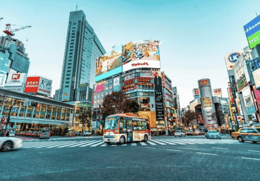 2 Days Tokyo, Mount Fuji Trip Private Guided Tour