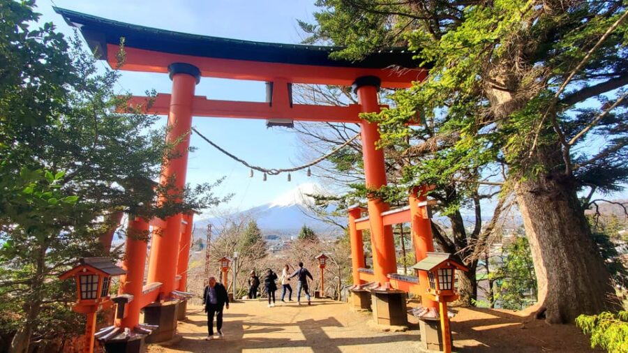 2 Days Tour: Mt. Fuji & Hakone GREEN NUMBER PLATES