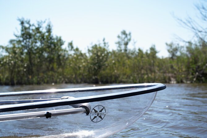 2-Hour Glass Bottom Guided Eco Tour in Flagler County-Small-group - Tour Overview