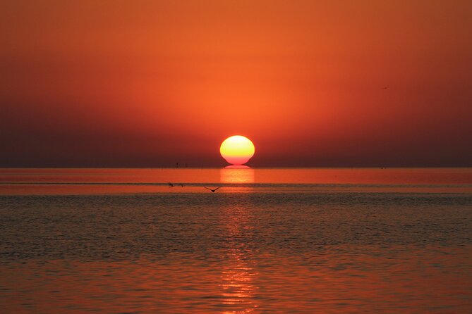 2 Hour Sunset Eco-Cruise - Tour Overview