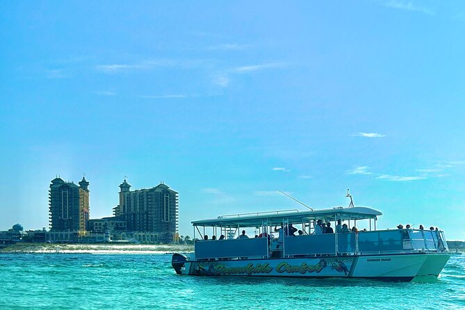 2 Hours Guided Afternoon Dolphin Tour Review - Overview of the Dolphin Tour