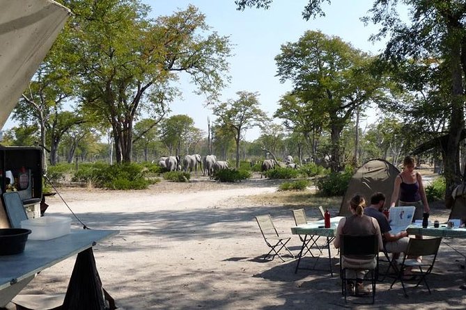 3 Day Chobe National Park Camping Safari