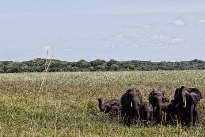 2 Best Guided Tours In Maputo