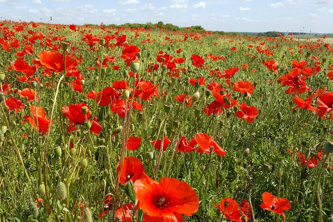 3 Day Tour Canadians in WW1 Starting From Lille or Ypres - Detailed Itinerary and Stops