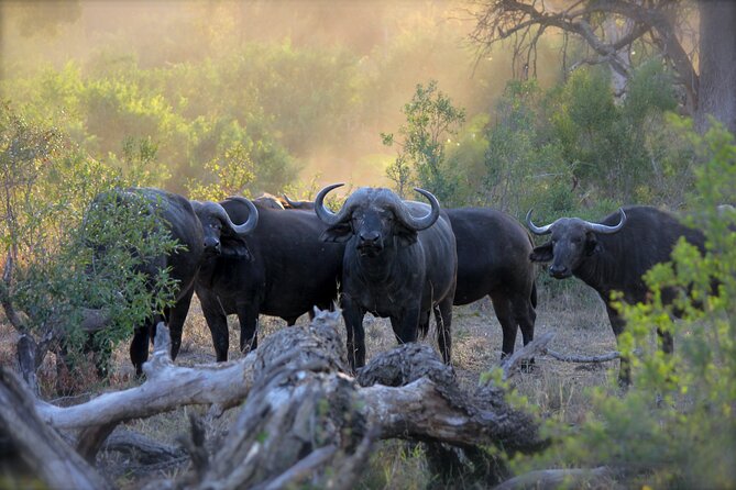 3-Days 2-nights Tanzania Private Budget Camping Safari