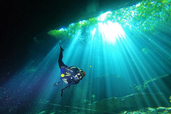 3 Days Diving in Cenotes for Certified Divers
