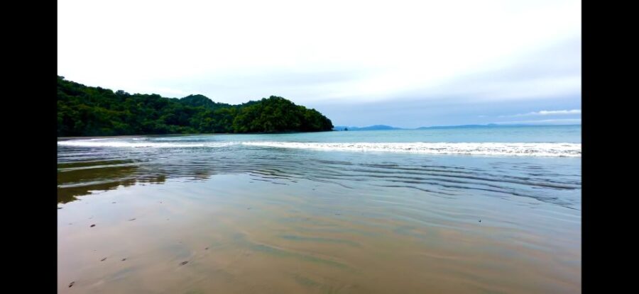 4 Days Adventure; Medellin to Nuqui- Whales!!! - Trip Overview and Pricing
