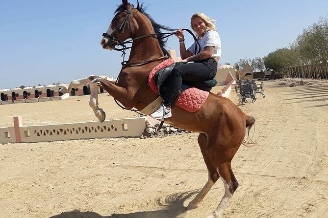 4 Hour Horse Riding in the Desert and Sea - Scenic Locations to Explore