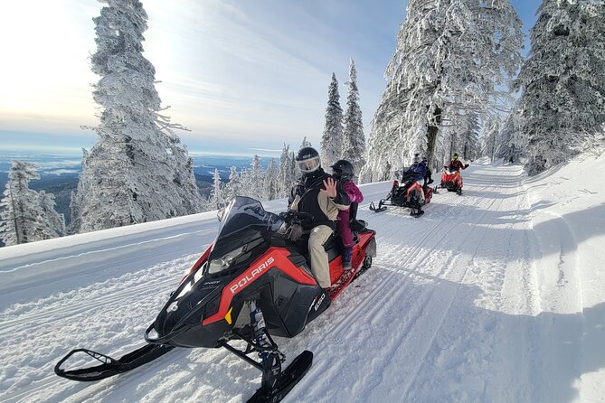 4-Hour Snowmobile Rental in Priest Lake - Equipment and Vehicle Details