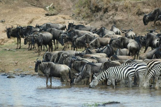5 Days Highlights of Kenya