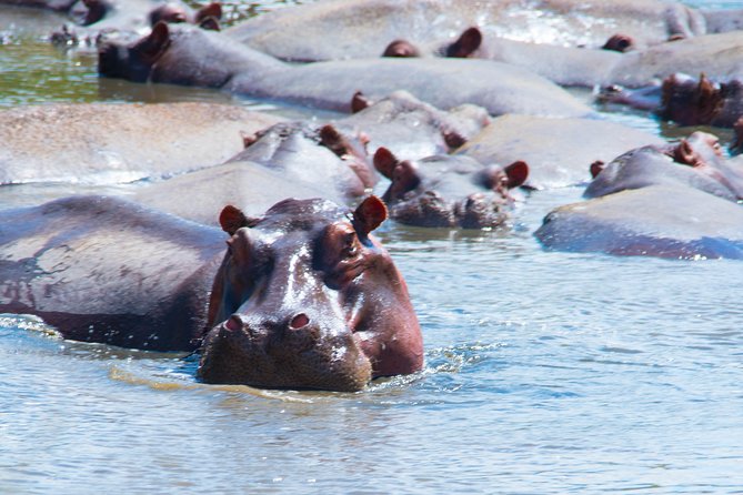 5 Days Lodge Safari.
