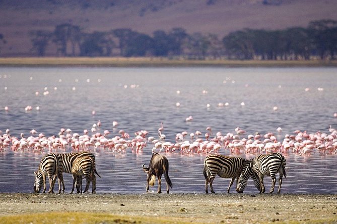 5 Days Masai Mara & Lake Nakuru Mid Range Private Safari