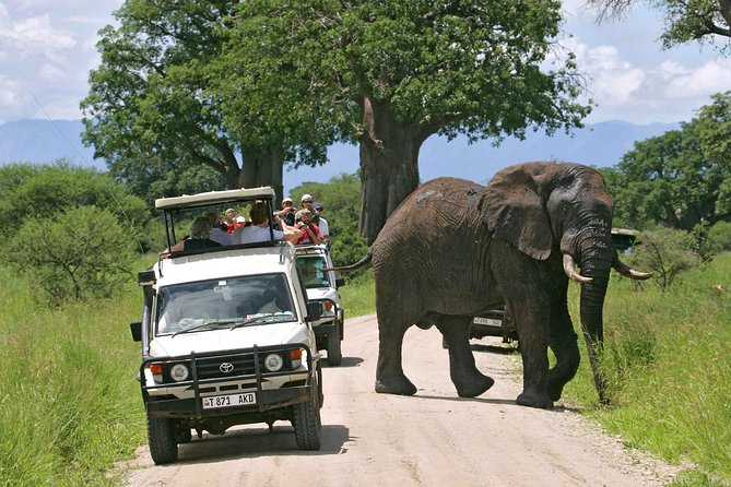 5 Days Tanzania Private Safari Tour