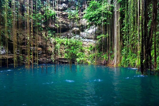 5×1 Tour: Tulum Coba Cenote Mayan Village and Playa Del Carmen