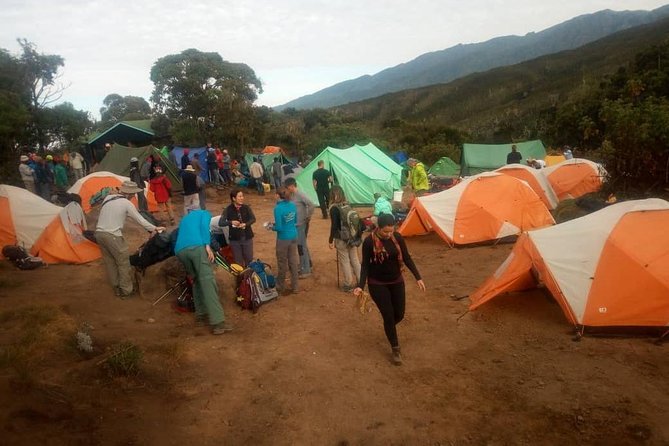 6 Days Climb Kilimanjaro Through Marangu Route - Overview of the Climb