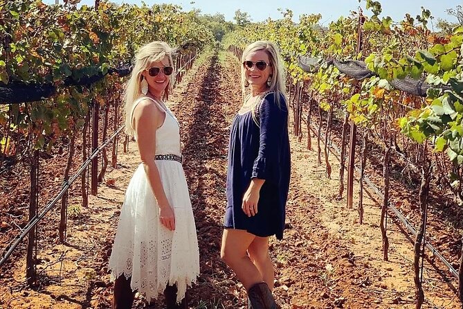 6 to 11 Guests Fredericksburg Private Van 5 Hour Wine Tour