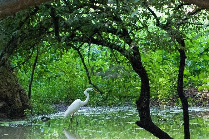 7 – Days Private Golden Triangle Tour With Bird Sanctuary
