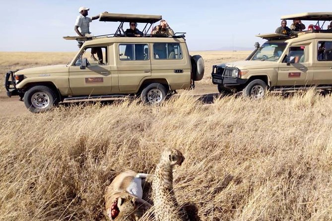 8 Days Tanzania Wildlife Safari Experience - Highlights of the Safari