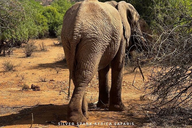 8 Days: Tsavo East National Park Amboseli, Nakuru, Maasai Mara Park