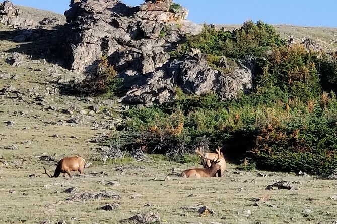 All Day Rocky Mountain National Park Tour Review - Overview of the Rocky Mountain National Park Tour