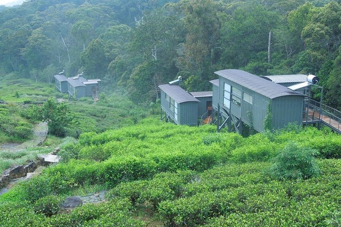 All Inclusive – Private Overnight Rain Forest Adventure in Sinharaja