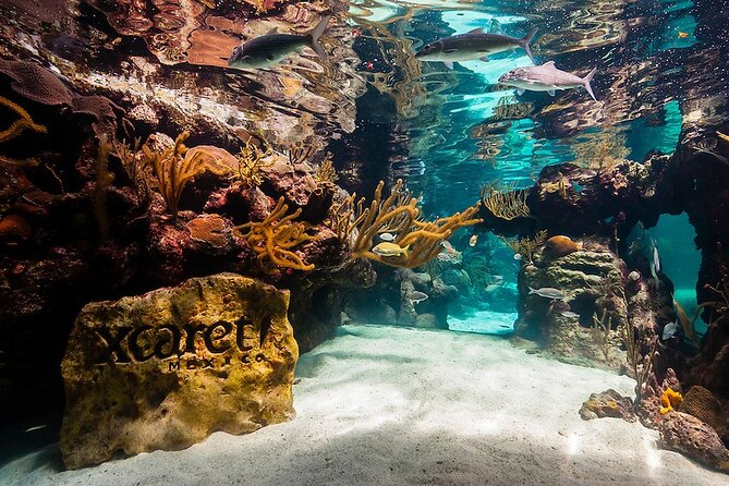 All-Inclusive Xcaret Park With Transportation From Cancun & Playa Del Carmen