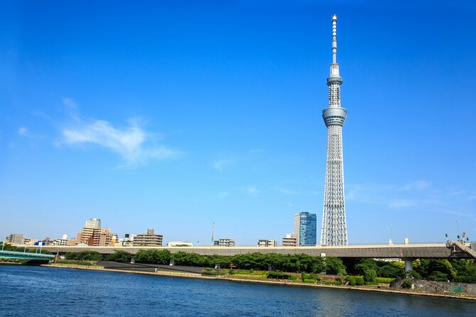All Inclusive・Private Tour Make Your Own Tokyo Adventure - Tour Overview