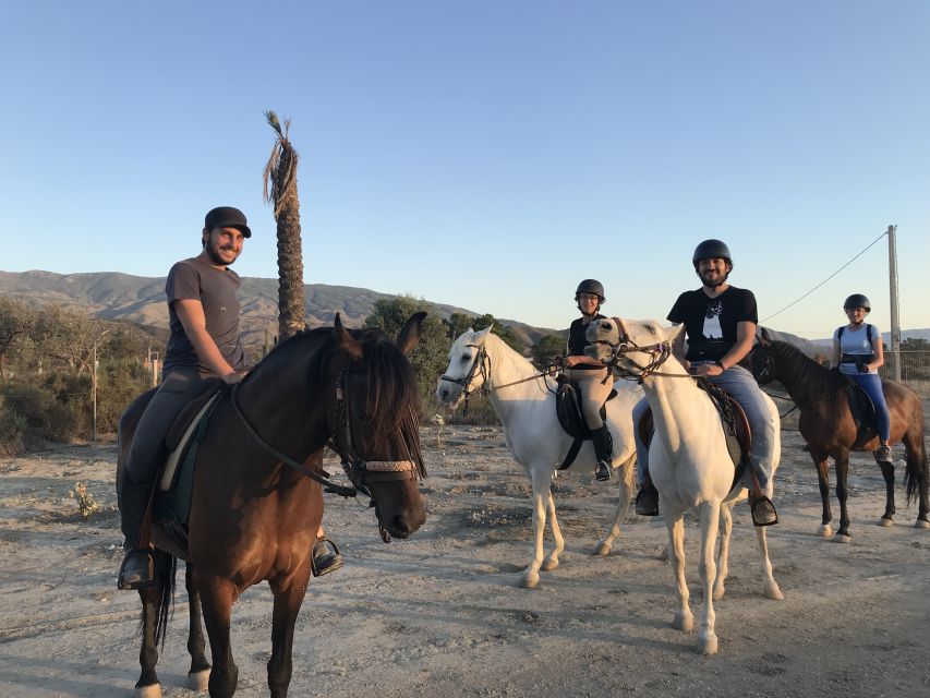 Almeria: Horse Riding Tour Through the Tabernas Desert