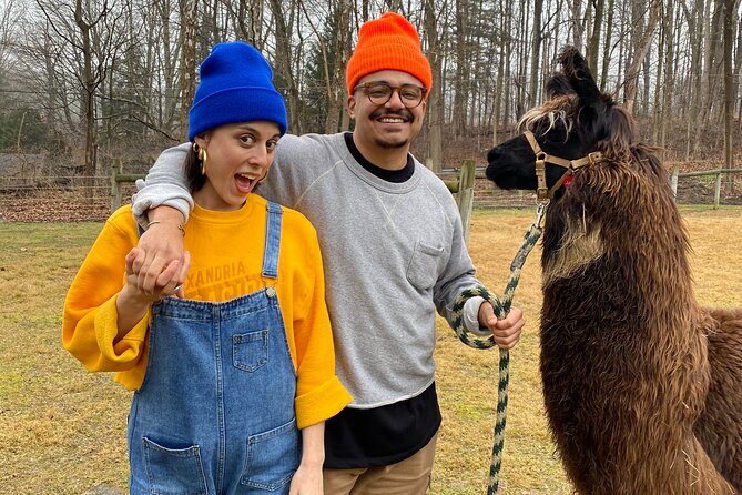 Alpaca and Llama Encounter With Guided Walk