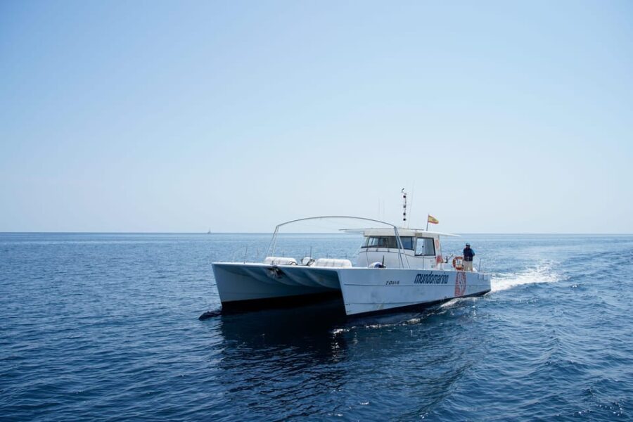 Altea: Motor Catamaran With Optional Lunch and Swimming Stop