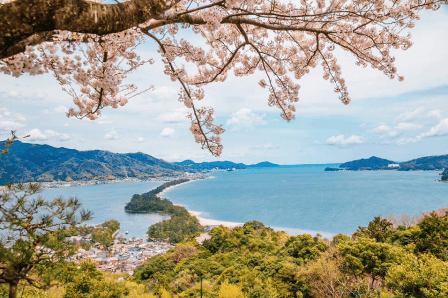 Amanohashidate & Ine Bay Tour With English Speaking Driver