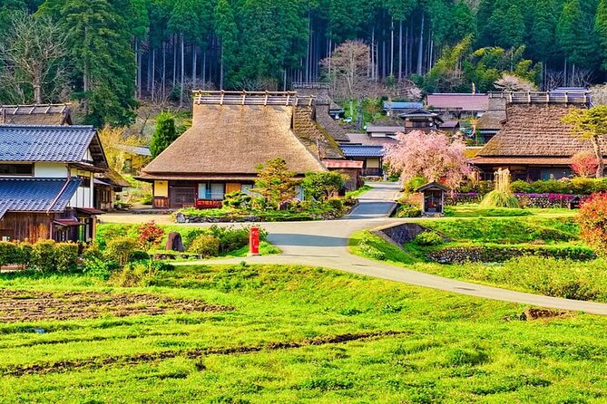 Amanohashidate, Ine Funaya & Miyam Village 1-Day Tour From Osaka
