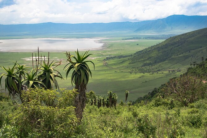 Arusha: Private 3 Day Safari Tarangire, Ngorongoro, Lake Manyara - Inclusions and Exclusions