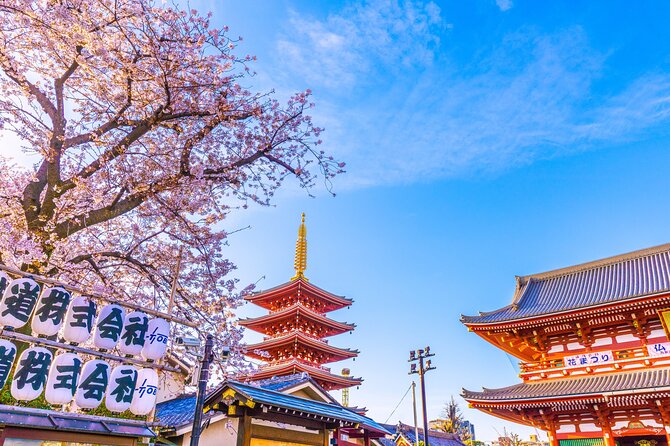 Asakusa and Sensoji Temple Historical Walking Tour in Tokyo - Tour Overview
