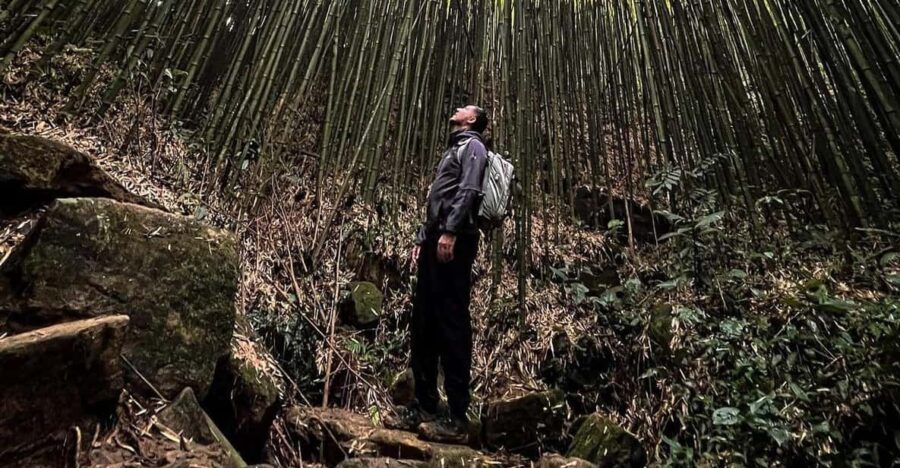 Authentic Experience,BambooForest,Waterfall ,LESS TOURIST