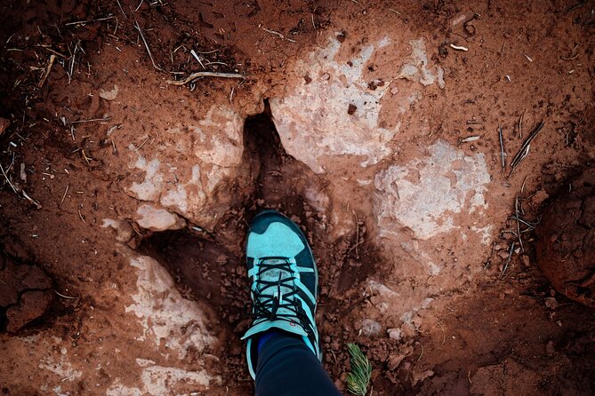 Babylon Arch Hike and Desert Wildlife Adventure