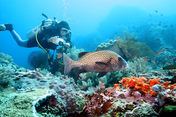 Bali Water Sport Packages in Tanjung Benoa Nusa Dua - Overview of Water Sports Package