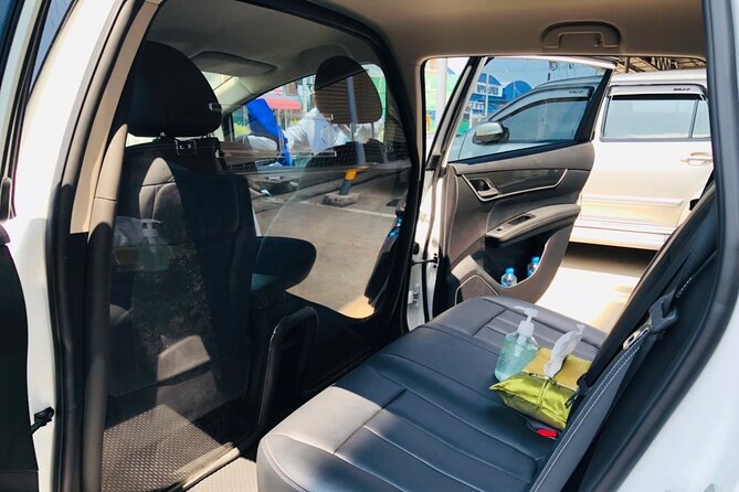 Bangkok:100% Electric Don Muang Airport Private Transfer - Service Overview