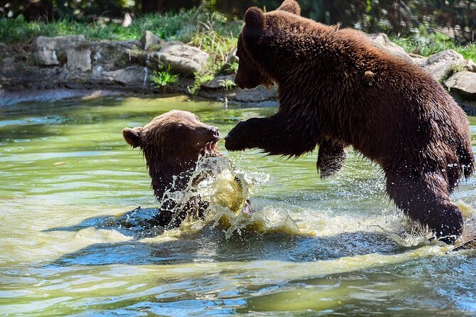 Bears Sanctuary & Dracula Castle - Tickets Included - Tour Overview