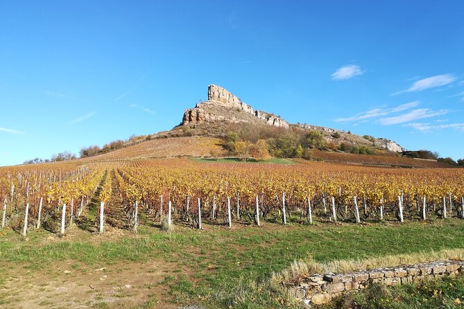 Beaujolais & South Burgundy : Private Full Day
