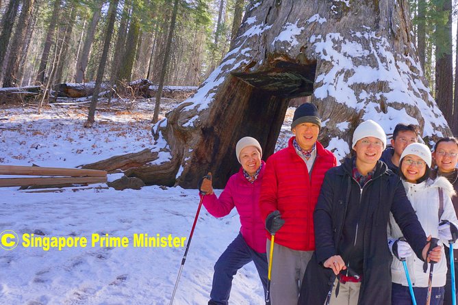 Best 1-Day Yosemite Tour Review - Overview of the Yosemite Full-Day Tour