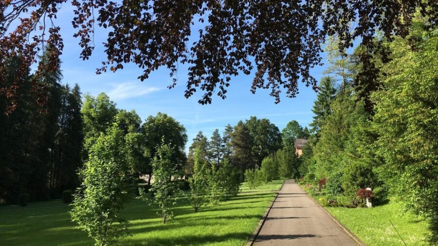 Best of Sankt Gallen: Private Walking Tour With a Local