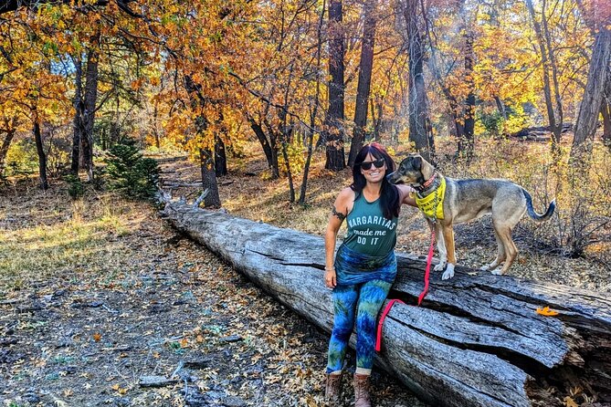 Big Bear Fall Colors Hiking Tour in Southern California