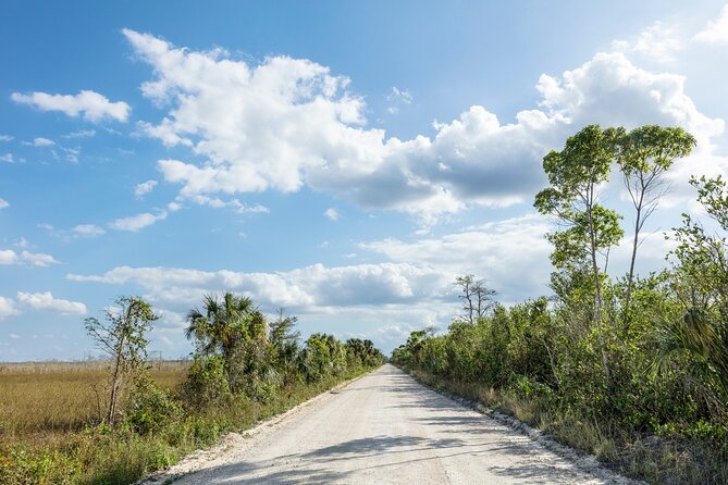 Big Cypress National Preserve Audio Tour Guide - Tour Overview