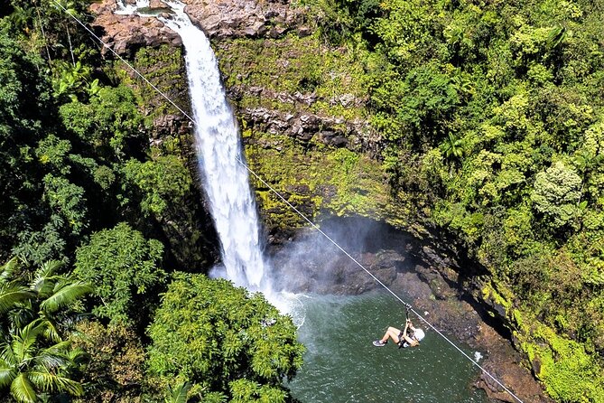 Big Island Zipline Over Kolekole Falls W/ Hilo Cruise Ship Pickup