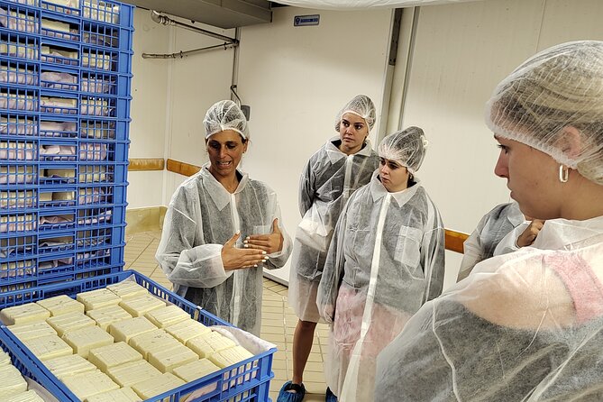 Bike Tour at Lake Como With Cheese Experience