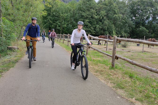 BikeBrix Scenic Cycling Tour in Lake Maggiore Ascona Locarno