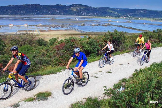 Biking Trip – Shore Excursion From Koper